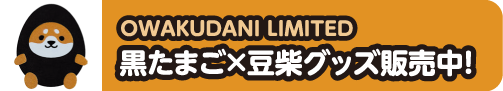 mameshiba