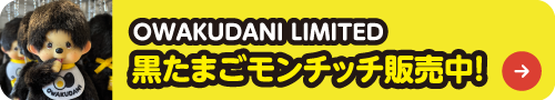 monchicchi